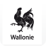 logo Wallonie